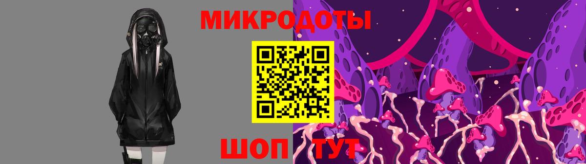 Дивногорск  Галлюциногенные грибы Psilocybine cubensis  Вход с VPN 